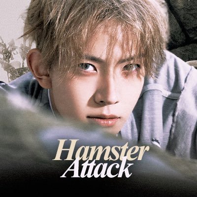 𝗵𝗮𝗺𝘀𝘁𝗲𝗿 𝗮𝘁𝘁𝗮𝗰𝗸's profile picture