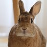こはるMaMa's profile picture