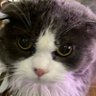 Profilbild von まさと