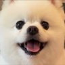 Profilbild von æ¥äžã¯ç¬