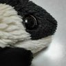 にがつらぱん 的头像
