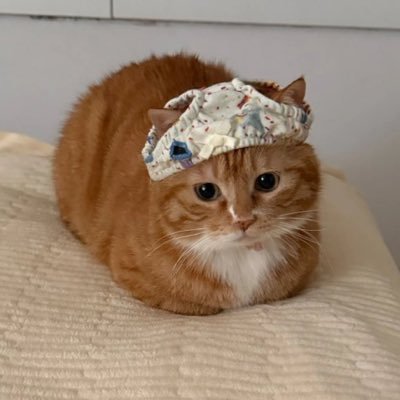 Hmzee1S's profile picture