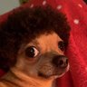 QuincyJones ๐๏ธ๐ฟ's profile picture