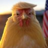 arielran's profile picture