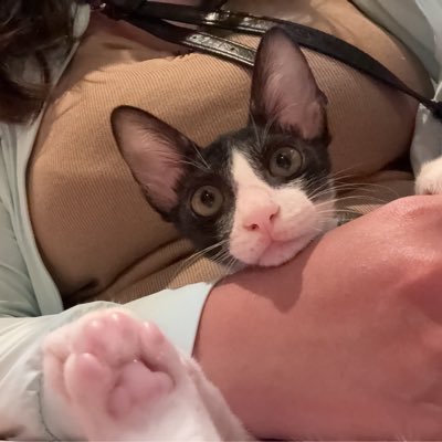 孤單的😺's profile picture