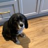 Oliver's profile picture