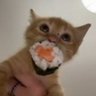 Chips's profile picture