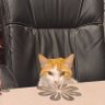 Joyce's profile picture