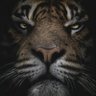 李寻欢's profile picture