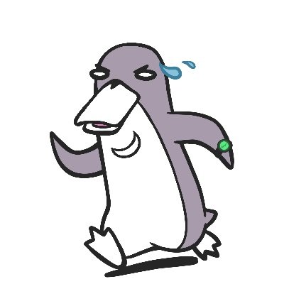 RunnerXBT's profile picture
