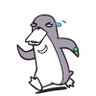 RunnerUSD's profile picture