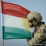 vulpesvulpeskurdistanica profil fotoğrafı