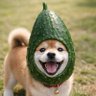 Фото профиля まめきち🥒