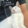 miung.icon profil fotoğrafı