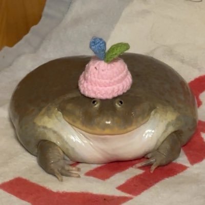 Really59763582's profile picture