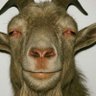 Profilbild von Rich_mob