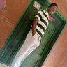 Kingsley Ichie's profile picture