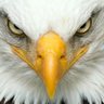 Libérrimo's profile picture