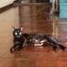 Naomi profil fotoğrafı