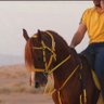 biker ابو ريمـا Jockey 的头像