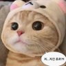 SUN 的头像
