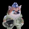 SlovakFella_NAFO AirBonk Forces 的头像