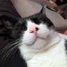 Profilbild von James Nate