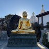 Siddhārtha Gautama 的头像