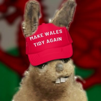 Hartley ap Hare 🏴󠁧󠁢󠁷󠁬󠁳󠁿🇬🇧's profile picture