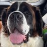 Recca's profile picture