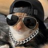 Joseph Morgan's profile picture