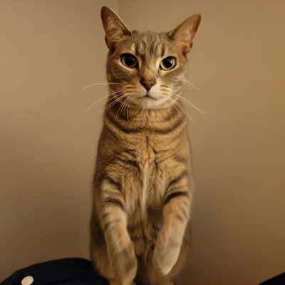 쪼리(JJory)'s profile picture