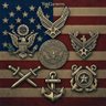 Profilbild von VetGamerBoceifus