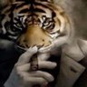 Rodri's profile picture