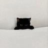 Фото профиля ねこ