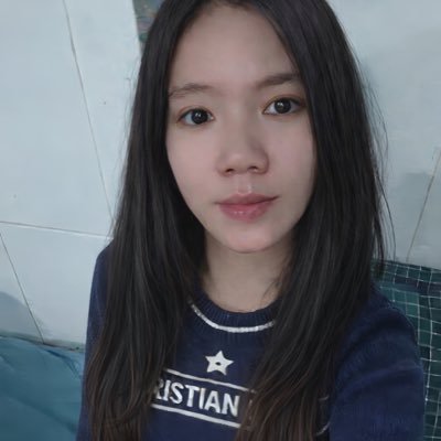 Bé Su Kem's profile picture