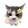 𝙖𝙢𝙖𝙖ʚଓ ּ ֶָ֢.'s profile picture