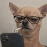 Max James's profile picture