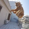 Dan profil fotoğrafı