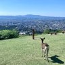 Фото профиля がっきー