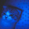 Фото профиля BlueCloverGal24