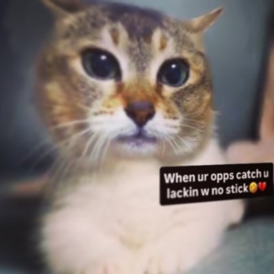 ava's profile picture