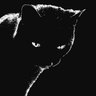 jojooo's profile picture