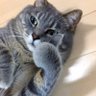Profilbild von みかん88