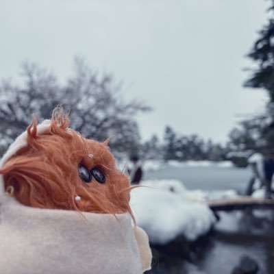 VAUNDYOUYOASOBI's profile picture