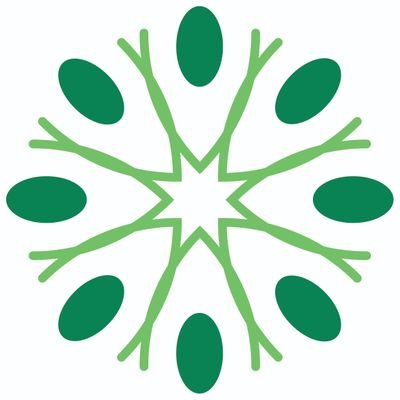 GazaGreatMinds's profile picture