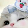 ʚคุณหนูน้องเอɞ 的头像