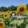 Profilbild von りつ🌻🦹รุ่งอรุณ暁