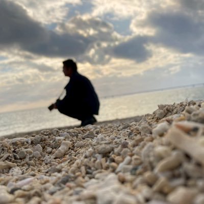 ひっし野球垢's profile picture