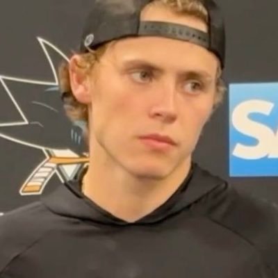 hans ⟡'s profile picture